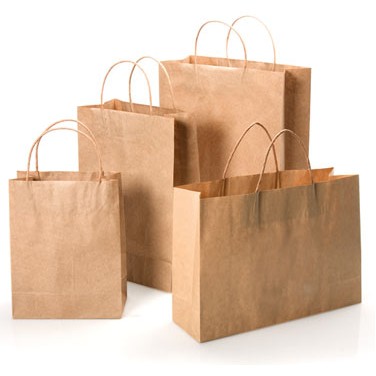 Brown Kraft Paper Bag w/Twisted Paper Handles (13"x6"x15 1/2")